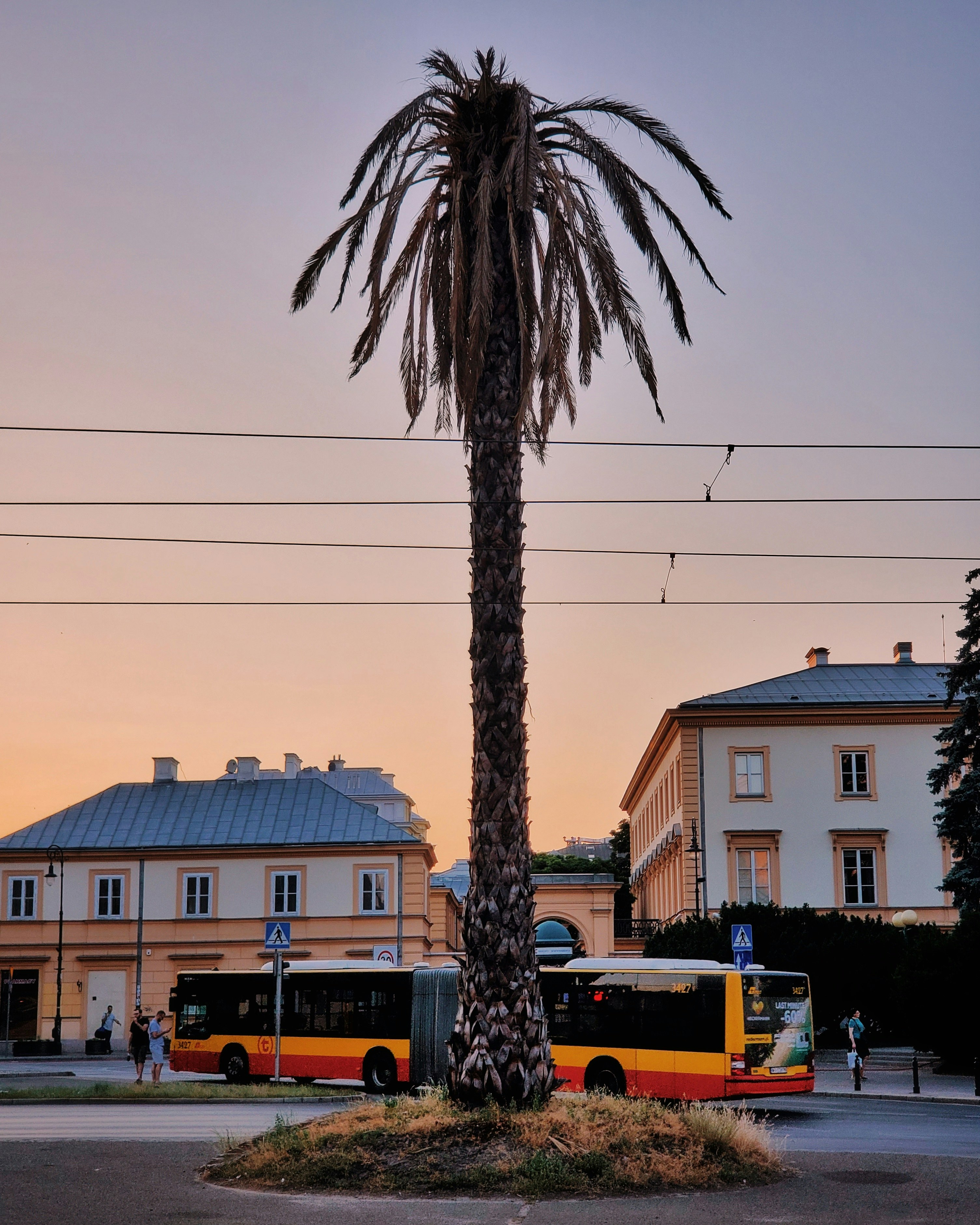 two yellow-and-red buses